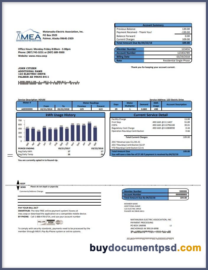 Buy MEA Alaska electricity bill Template PSD