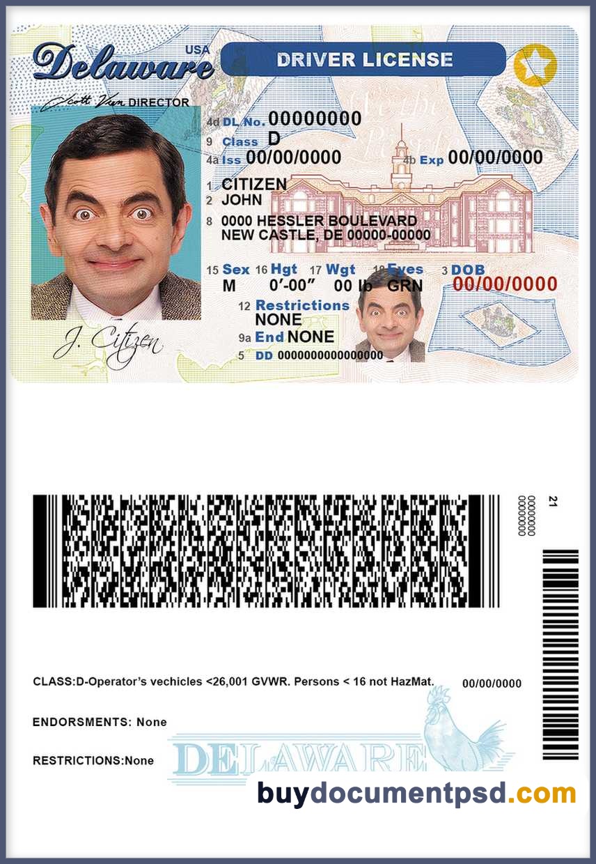 Buy Delaware Driving Licence Template