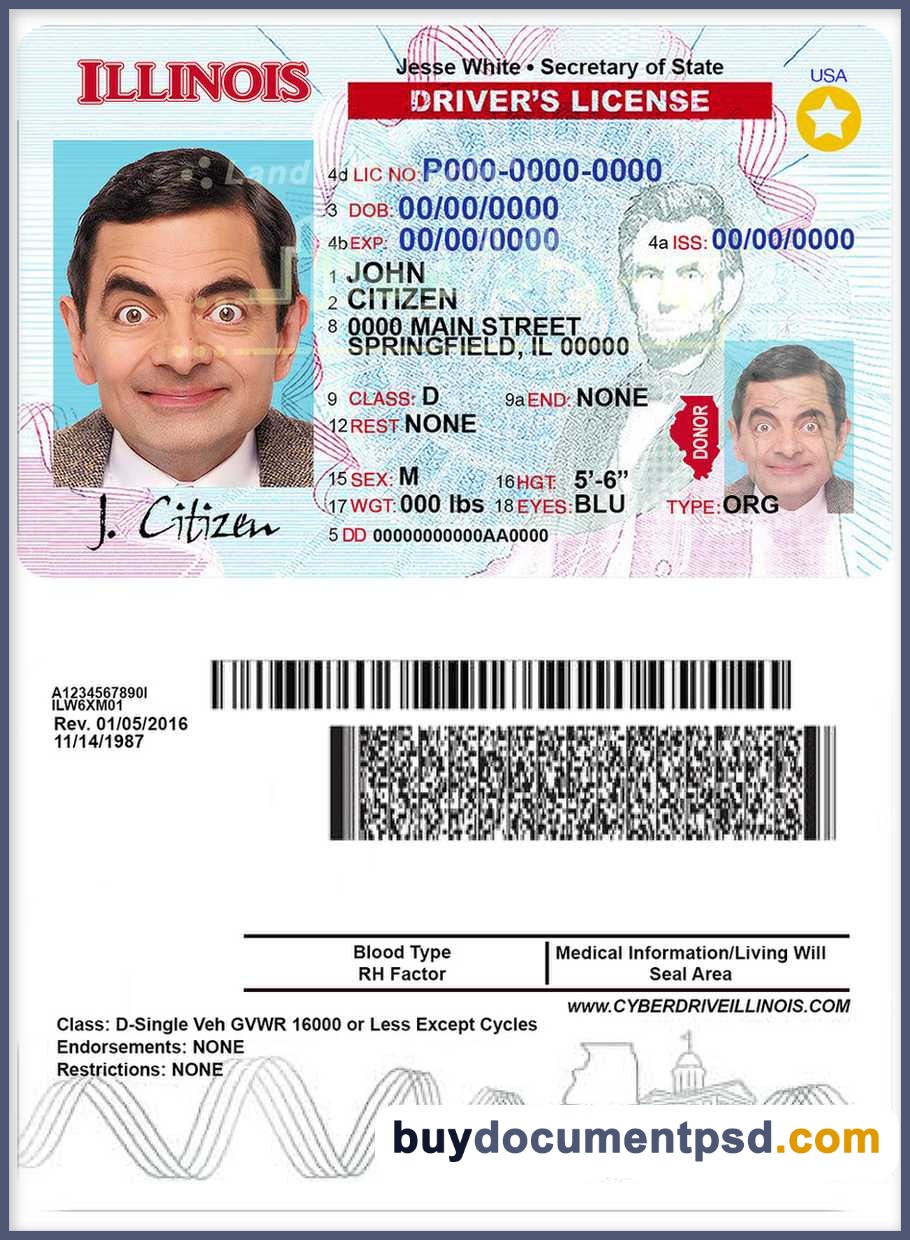 Buy ILLINOIS Driving Licence New + uv Template