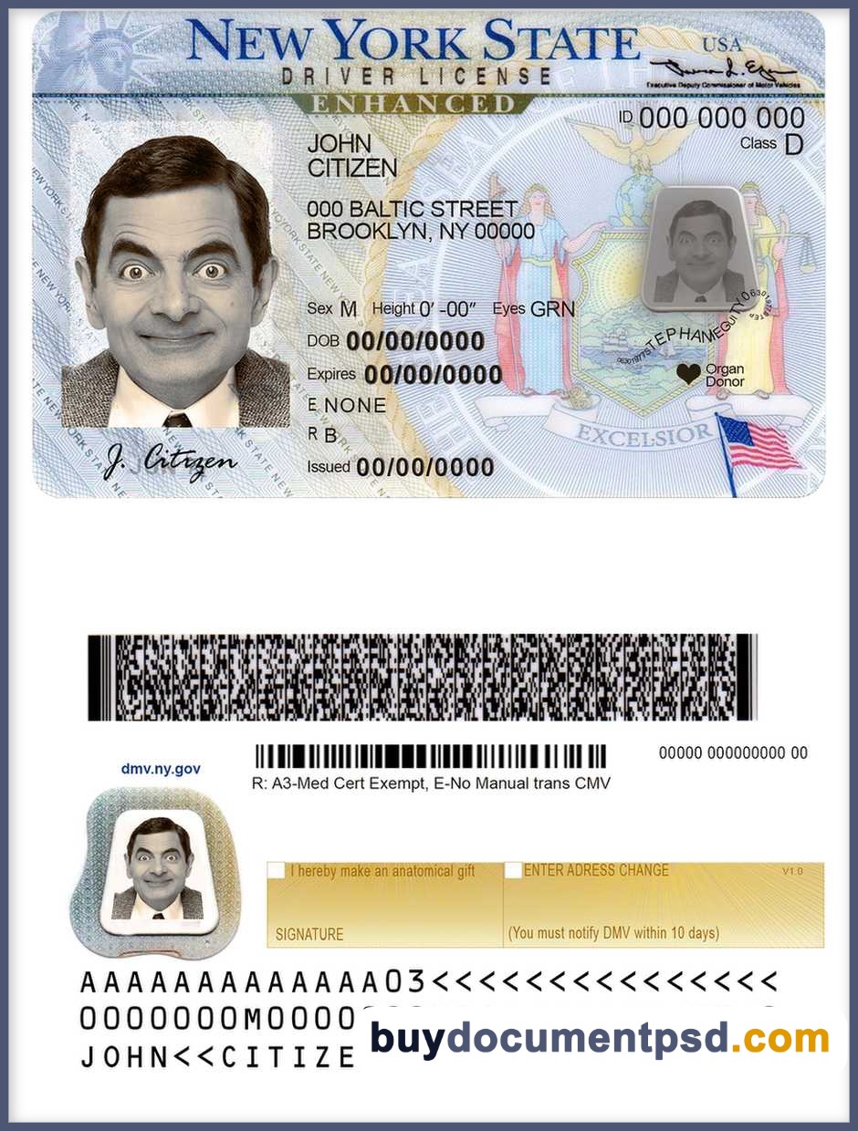 Buy NY New York Driving Licence Template